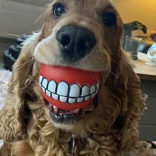 Логотип @votanekdott - Вот Анекдот!!!