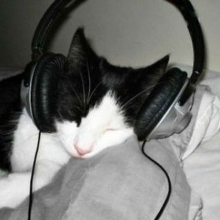 Логотип @votetaprikol - Batonch1k