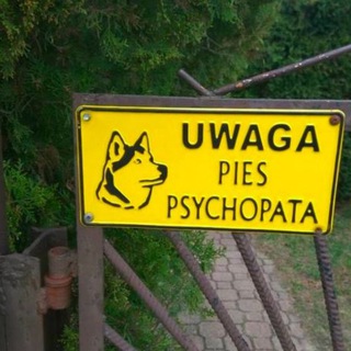 Логотип @vottypes - Вот ты пёс!