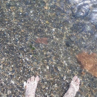 Логотип @vovaeliviy - Еловый