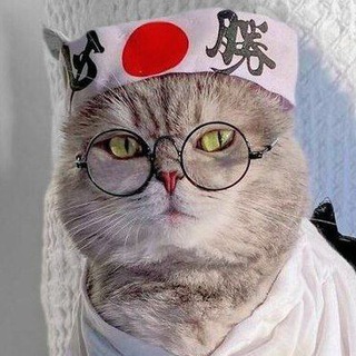 Логотип @vovasensei - vovasensei