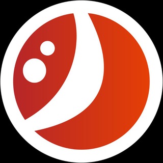 Логотип @vovkasolovevru - VOVKASOLOVEV 🔴 VLSO В. СОЛОВЬЁВ