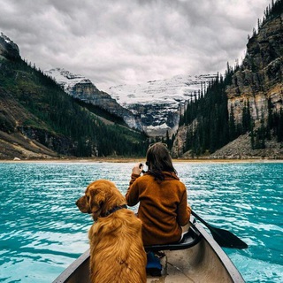 Логотип @voworld - Вокруг света | Путешествия