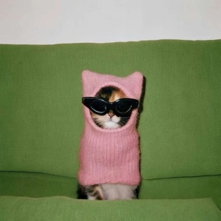 Логотип @vpolnesebe - вполне себе