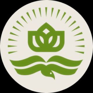 Логотип @vpoznaniedeti - ПОЗНАНИЕ - Группа разумных родителей