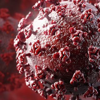 Логотип @vrach_covid - Врачи России | Медицина | Коронавирус