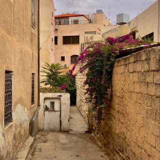 Логотип @vremenierb - 𝘃𝗿𝗲𝗺𝗲𝗻𝗶𝗲.𝗿