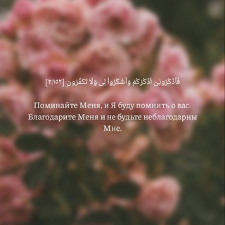Логотип @vremennaya_gostya - ꜱɪɴᴛᴇᴍᴇ ᴅᴏɢ🫀