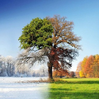 Логотип @vremgoda - Времена года🍂☃️🌱🌞 Природа & Погода