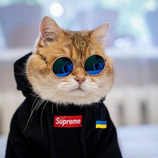 Логотип @vrfakt1 - ГОРОСКОП