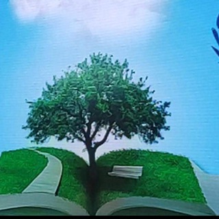 Логотип @vritmeshastiya - ERSAG РАННЕЕ ЗДОРОВЬЕ ✨