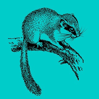 Логотип @vrostovenorm - Лесные Сони