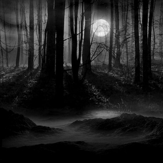 Логотип @vrv_blockman_go - VRV Blockman GO