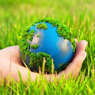 Логотип @vsapriroda - WTFact в Природе🏞️