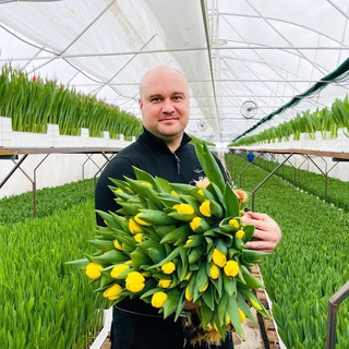 Логотип @vse_dlya_datchi_doma - РАССАДА🌸САЖЕНЦЫ🌸СЕМЕНА