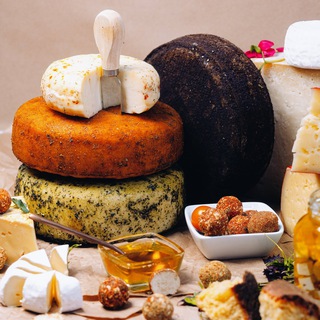 Логотип @vse_o_syrodelii - ВСЁ О СЫРОДЕЛИИ