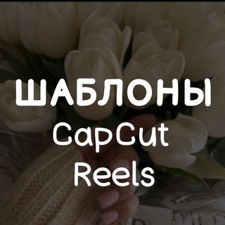 Логотип @vse_proreels - ШАБЛОНЫ CapCut КАП КУТ