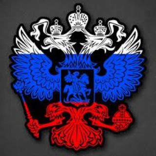 Логотип @vse_svoi_rus - Виртуальная реальность 🌚