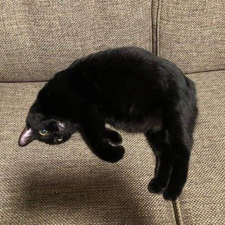 Логотип @vse_v_kurse_zvoni_komu_hochesh - Все в курсе, звони, кому хочешь