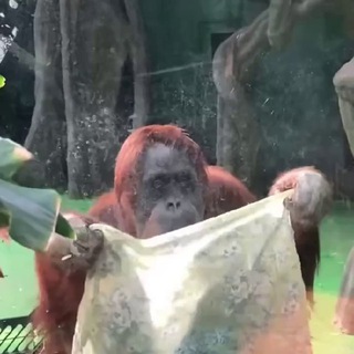 Логотип @vsedetskoye - Всякое детское