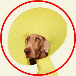 Логотип @vsedljastories - ВСЁ ДЛЯ СТОРИС