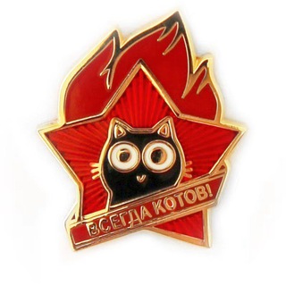 Логотип @vsegdaakotov - Всегда котов! 🐈 | Про котиков🐾