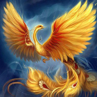 Логотип @vsegdaestvihodd - жар птица/всегда есть выход!