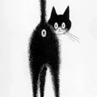 Логотип @vsekote - ВСЕ КОТЭ У НАС