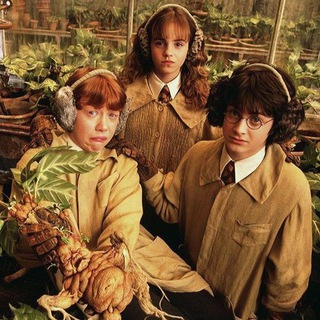 Логотип @vselennaya_hp - ✨ Вселенная Гарри Поттера ✨