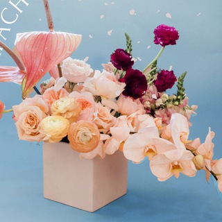 Логотип @vsem_lu - Vsem_lu