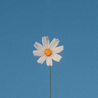 Логотип @vseoq - vsk