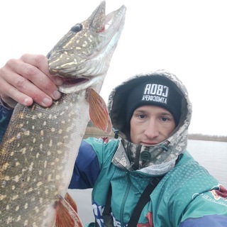 Логотип @vseprofishing - Evgeny__fishing 😉🐟