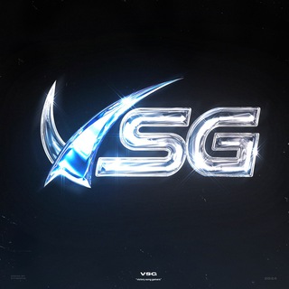 Логотип @vsgsquad - VSG
