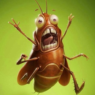 Логотип @vshvabra - Вечерняя ШВАБРА