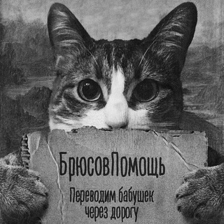 Логотип @vslov_help - Брюсов и помощь