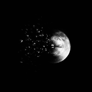 Логотип @vslv_txt - васильев.txt