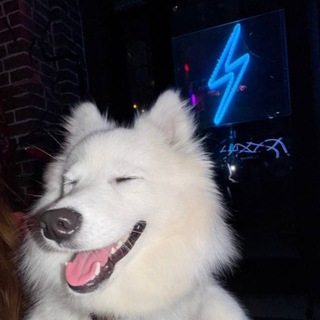 Логотип @vspyshkafriends - Друзья Вспышки