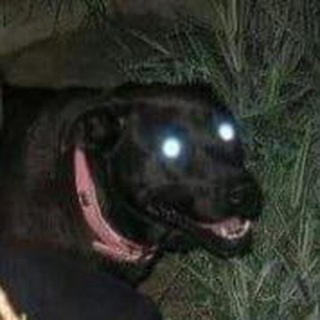 Логотип @vsratiipikchi - Всратые пикчи и гифки