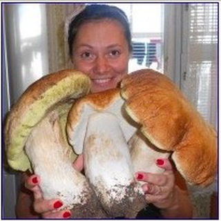 Логотип @vsratykopi - всраті копірайти