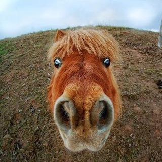 Логотип @vstoilonaxyi - В СТОЙЛО!