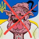 Логотип @vsu_gruz200 - vsu_gruz200