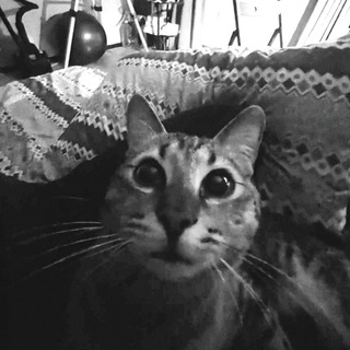 Логотип @vt708wow - кисуля лу