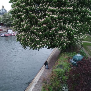 Логотип @vulnerability_and_adaptation - vulnerability and adaptation