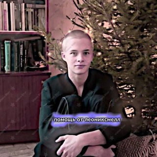 Логотип @vuxlie - помощь от леониксмел🍀