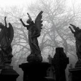 Логотип @vvaldem - head over heels