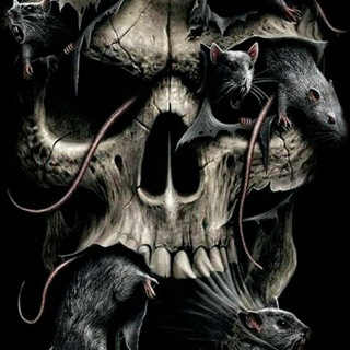 Логотип @vvccfv - 🔥Огонь🔥