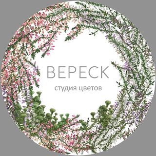 Логотип @vveresk_spb - veresk_spb