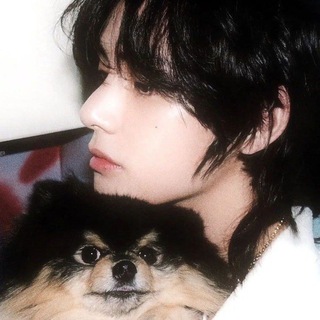 Логотип @vveshee - velur