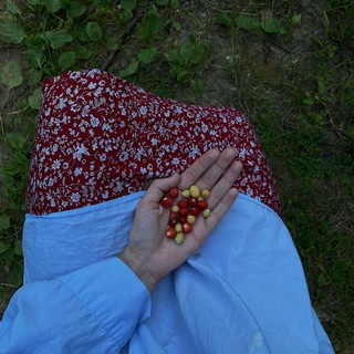 Логотип @vvjht - море по колено