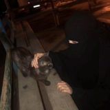 Логотип @vvnsx - k